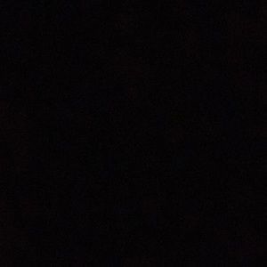 Meet your Posher, Shayla